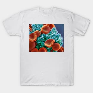 Red blood cells and platelets, SEM (C029/3211) T-Shirt